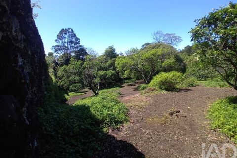 Helårsgrund i Lagoa, Sao Miguel, Lagoa - € 465.000 | Ref: 878514 - foto 9