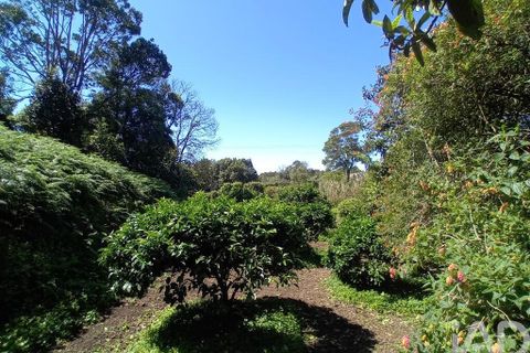 Helårsgrund i Lagoa, Sao Miguel, Lagoa - € 465.000 | Ref: 878514 - foto 10
