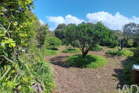 Helårsgrund i Lagoa, Sao Miguel, Lagoa - € 465.000 | Ref: 878514 - foto 12