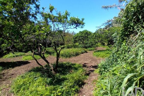 Helårsgrund i Lagoa, Sao Miguel, Lagoa - € 465.000 | Ref: 878514 - foto 13