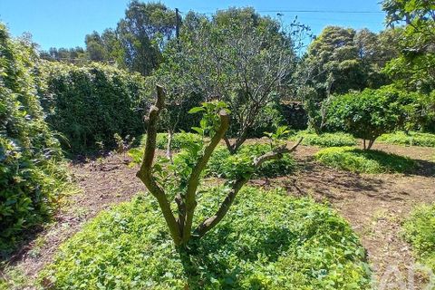 Helårsgrund i Lagoa, Sao Miguel, Lagoa - € 465.000 | Ref: 878514 - foto 14