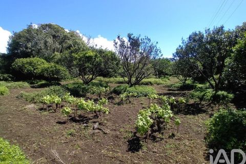 Helårsgrund i Lagoa, Sao Miguel, Lagoa - € 465.000 | Ref: 878514 - foto 15