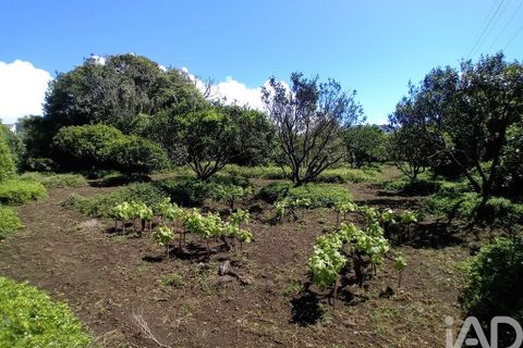 Helårsgrund i Lagoa, Sao Miguel, Lagoa - € 465.000 | Ref: 878514 - foto 16