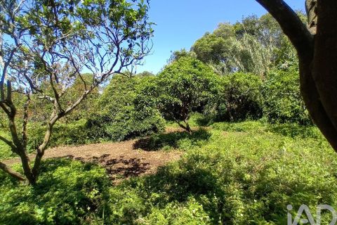 Helårsgrund i Lagoa, Sao Miguel, Lagoa - € 465.000 | Ref: 878514 - foto 17