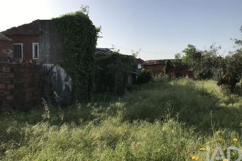 Byhus i Ourem, Santarem, Ourem - € 175.000 | Ref: 885914 - foto 4