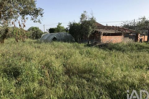 Byhus i Ourem, Santarem, Ourem - € 175.000 | Ref: 885914 - foto 6