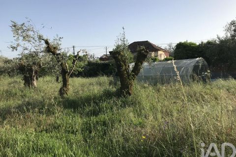Byhus i Ourem, Santarem, Ourem - € 175.000 | Ref: 885914 - foto 12
