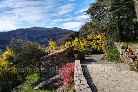 Villa i Sumène, Gard, Sumène - € 480.000 | Ref: 666V7809M - foto 2