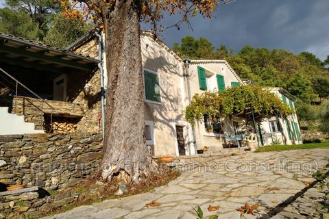 Villa i Sumène, Gard, Sumène - € 480.000 | Ref: 666V7809M - foto 6