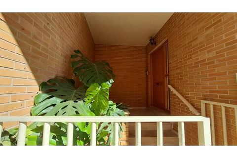 Villa i Almoradi, Alicante, Almoradi - € 395.000 | Ref: 8485 - foto 2