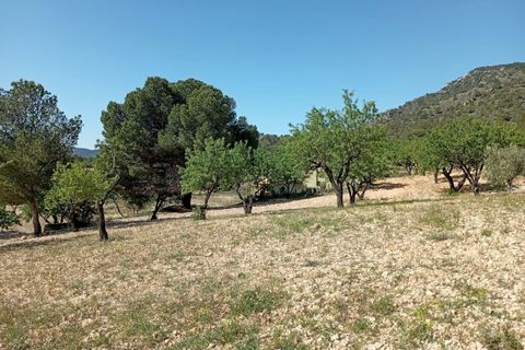 Cave house i Salinas, Alicante, Salinas - € 119.995 | Ref: P5442 - foto 12