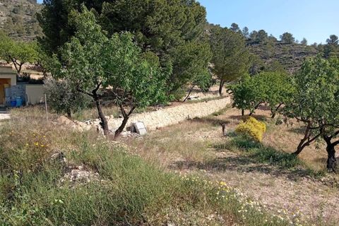 Cave house i Salinas, Alicante, Salinas - € 119.995 | Ref: P5442 - foto 18