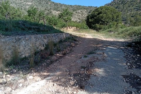 Cave house i Salinas, Alicante, Salinas - € 119.995 | Ref: P5442 - foto 19