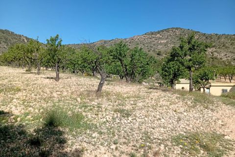 Cave house i Salinas, Alicante, Salinas - € 119.995 | Ref: P5442 - foto 20