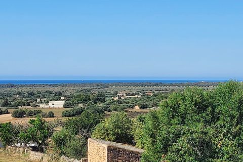 Byhus i Ses Salines, Mallorca, Ses Salines - € 2.500.000 | Ref: 4939 - foto 21