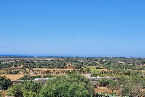 Byhus i Ses Salines, Mallorca, Ses Salines - € 2.500.000 | Ref: 4939 - foto 16