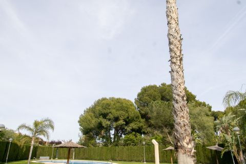 Rækkehus i Mutxamel, Alicante, Mutxamel - € 589.900 | Ref: HM-5163 - foto 31