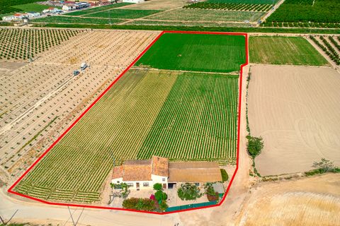 Finca i Orihuela, Alicante, Orihuela - € 149.950 | Ref: 27J101665 - foto 4