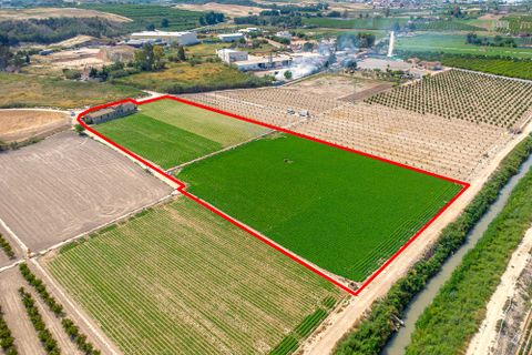 Finca i Orihuela, Alicante, Orihuela - € 149.950 | Ref: 27J101665 - foto 20