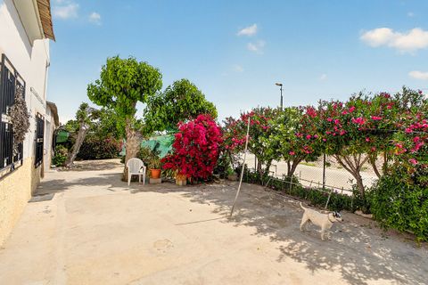 Finca i Orihuela, Alicante, Orihuela - € 149.950 | Ref: 27J101665 - foto 8