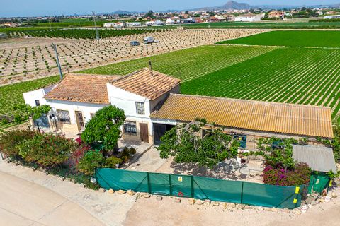 Finca i Orihuela, Alicante, Orihuela - € 149.950 | Ref: 27J101665 - foto 10