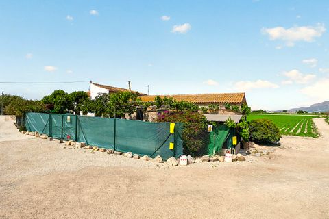 Finca i Orihuela, Alicante, Orihuela - € 149.950 | Ref: 27J101665 - foto 21