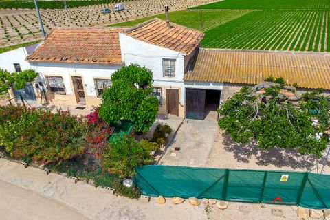 Finca i Orihuela, Alicante, Orihuela - € 149.950 | Ref: 27J101665 - foto 3