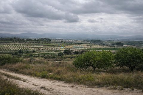 Terra a Albaida, Valencia, Albaida - € 375.000 | Ref: PNPT260 - foto 10