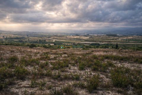 Terra a Albaida, Valencia, Albaida - € 375.000 | Ref: PNPT260 - foto 1