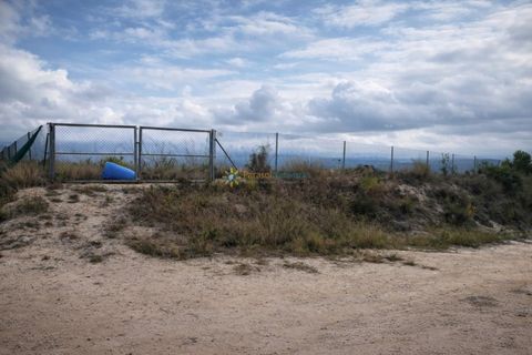 Terra a Albaida, Valencia, Albaida - € 375.000 | Ref: PNPT260 - foto 12
