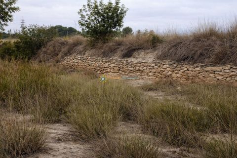 Terra a Albaida, Valencia, Albaida - € 375.000 | Ref: PNPT260 - foto 11