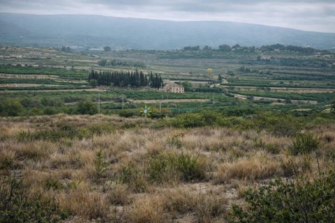 Terra a Albaida, Valencia, Albaida - € 375.000 | Ref: PNPT260 - foto 9