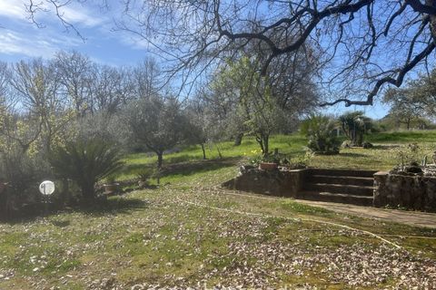 Helårsgrund i Nepi, Viterbo, Nepi - € 420.000 | Ref: Campostivaletto - foto 2