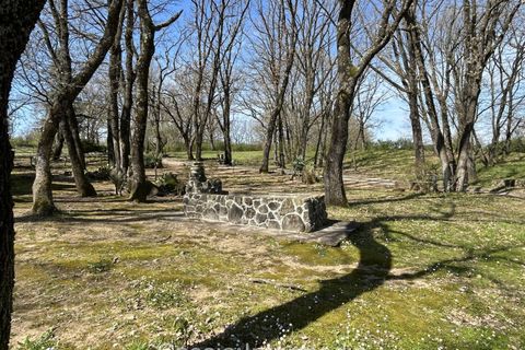 Helårsgrund i Nepi, Viterbo, Nepi - € 420.000 | Ref: Campostivaletto - foto 29