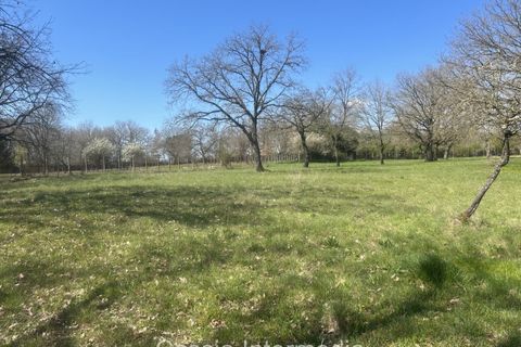 Helårsgrund i Nepi, Viterbo, Nepi - € 420.000 | Ref: Campostivaletto - foto 36