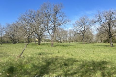 Helårsgrund i Nepi, Viterbo, Nepi - € 420.000 | Ref: Campostivaletto - foto 38