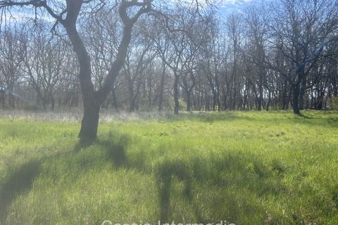 Helårsgrund i Nepi, Viterbo, Nepi - € 420.000 | Ref: Campostivaletto - foto 39