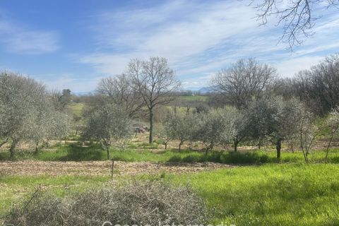 Helårsgrund i Nepi, Viterbo, Nepi - € 420.000 | Ref: Campostivaletto - foto 41