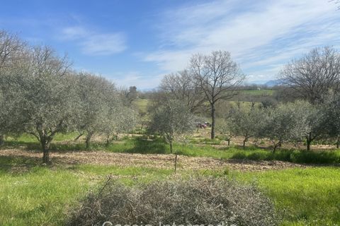 Helårsgrund i Nepi, Viterbo, Nepi - € 420.000 | Ref: Campostivaletto - foto 42