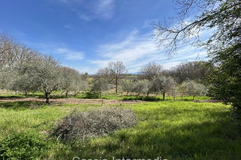 Helårsgrund i Nepi, Viterbo, Nepi - € 420.000 | Ref: Campostivaletto - foto 43