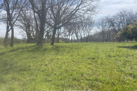 Helårsgrund i Nepi, Viterbo, Nepi - € 420.000 | Ref: Campostivaletto - foto 46