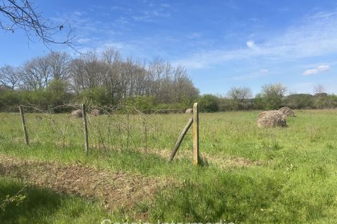 Helårsgrund i Nepi, Viterbo, Nepi - € 420.000 | Ref: Campostivaletto - foto 48