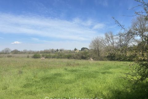 Helårsgrund i Nepi, Viterbo, Nepi - € 420.000 | Ref: Campostivaletto - foto 49