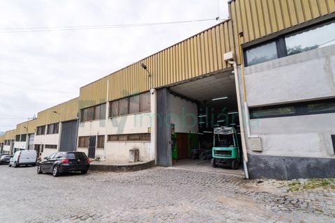 Bungalou a Oliveira, Braga, Oliveira - € 485.000 | Ref: F2604.108 - foto 3
