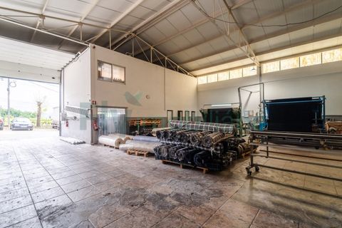 Bungalou a Oliveira, Braga, Oliveira - € 485.000 | Ref: F2604.108 - foto 12