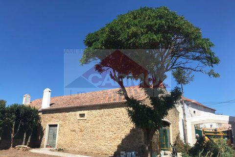 Villa i Alenquer, Lisbon, Alenquer - € 1 550 000 | Ref: Mor_4311 - foto 37