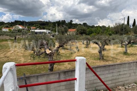Villa a Belmonte, Castelo Branco, Belmonte - € 57.000 | Ref: 394260038 - foto 20