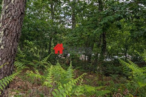 Grond in Calde, Viseu, Calde - € 15.000 | Ref: CA456683 - foto 5
