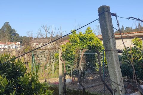 Helårsgrund i Penafiel, Porto, Penafiel - € 55.000 | Ref: C0272-02695 - foto 7
