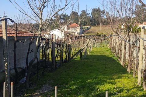 Helårsgrund i Penafiel, Porto, Penafiel - € 55.000 | Ref: C0272-02695 - foto 33